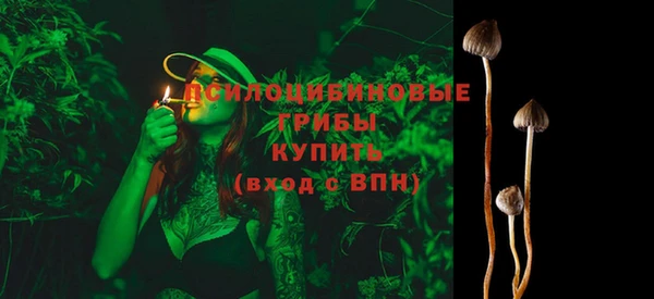 Альфа ПВП Богородицк