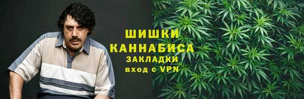 Альфа ПВП Богородицк
