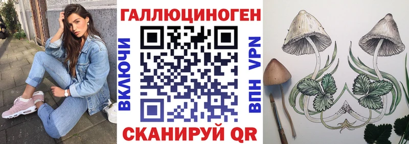 Псилоцибиновые грибы мицелий  Саратов 