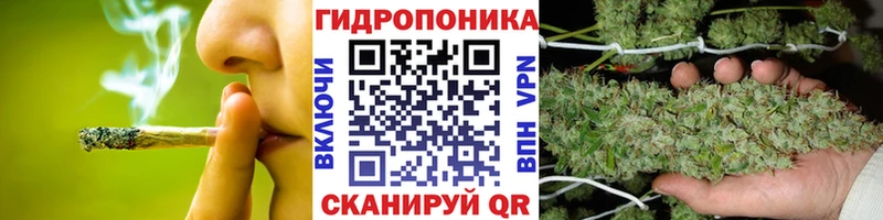Бошки Шишки семена  как найти закладки  Саратов 